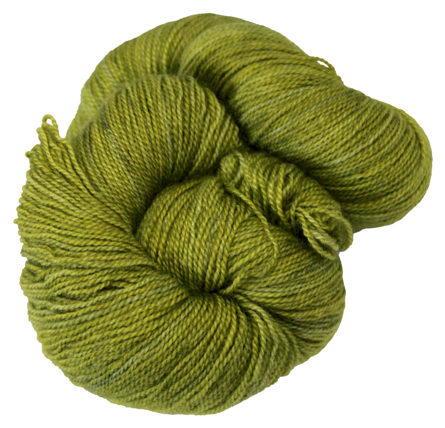 Flying Lace - Grasshopper