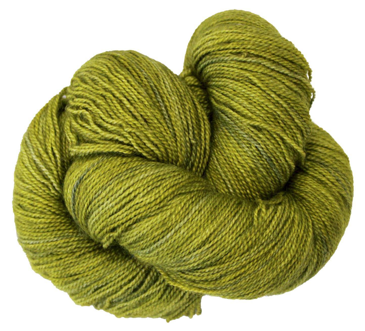 Flying Lace - Grasshopper